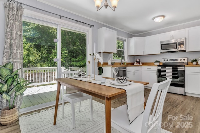 35 Avondale Rd, Asheville, NC 28803 - kitchen with appliances with stainless steel finishes, light wood-style flooring, white cabinets, a chandelier, and crown molding