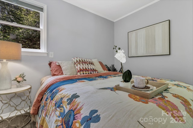 35 Avondale Rd, Asheville, NC 28803 - bedroom with ornamental molding