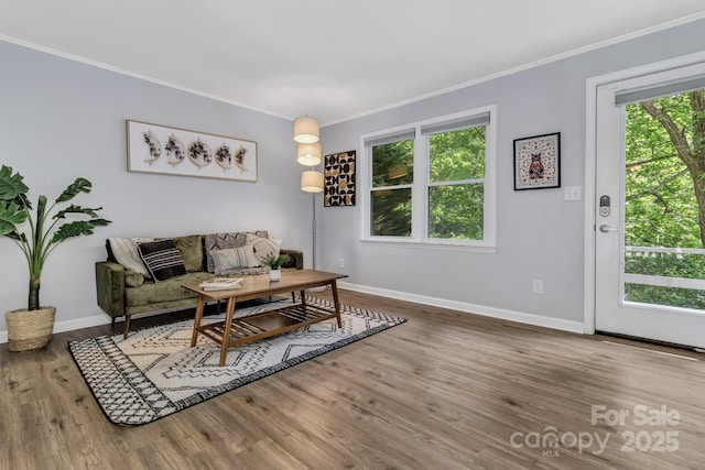 35 Avondale Rd, Asheville, NC 28803 - living area with crown molding, baseboards, plenty of natural light, and wood finished floors