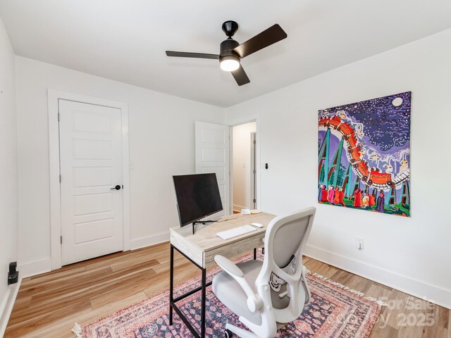 1817 Rush Wind Dr, Charlotte, NC 28206 - photo 19