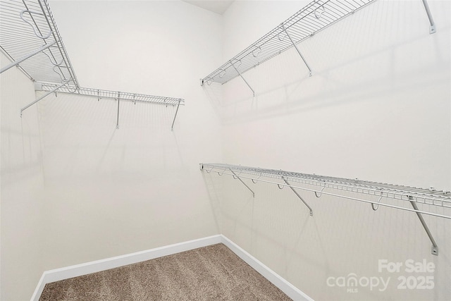 163 Crenshaw Pl NW, Concord, NC 28027 - walk in closet featuring light colored carpet