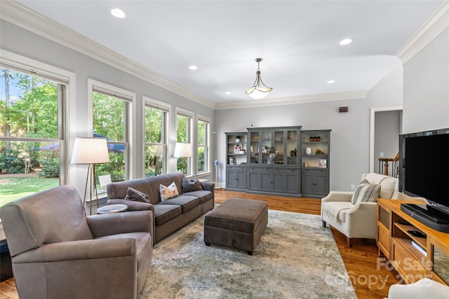 6211 Cruden Bay Way, Charlotte, NC 28277 - living area featuring wood finished floors, ornamental molding, and recessed lighting