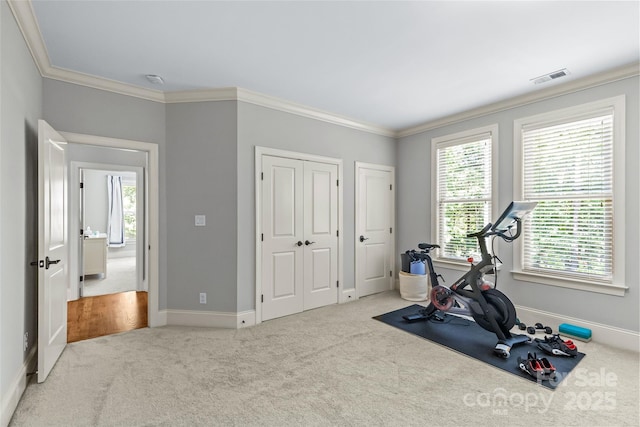 6211 Cruden Bay Way, Charlotte, NC 28277 - exercise area with carpet floors and ornamental molding