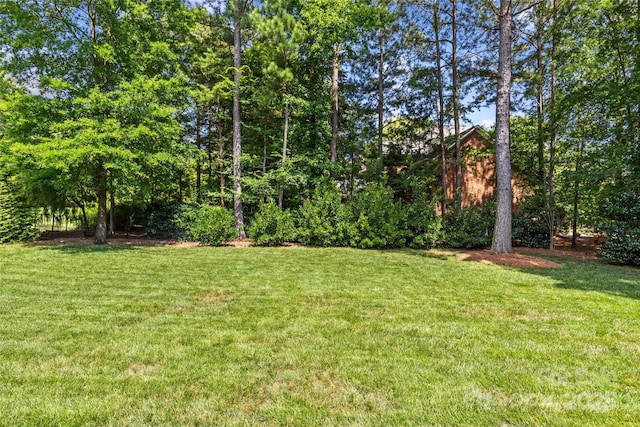 6211 Cruden Bay Way, Charlotte, NC 28277 - view of green lawn