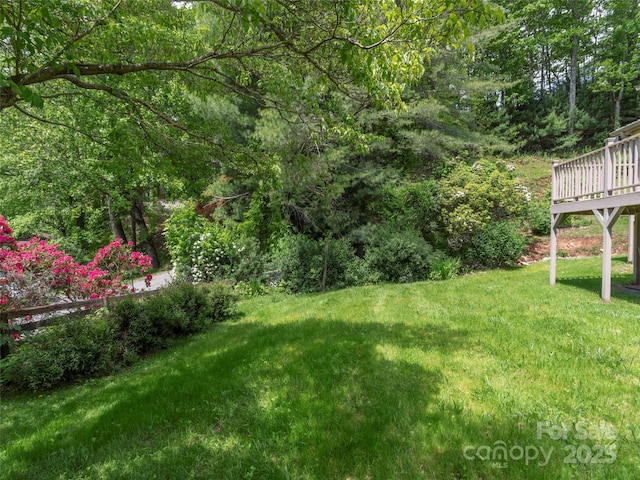 255 Red Bank Rd, Waynesville, NC 28786 - photo 28