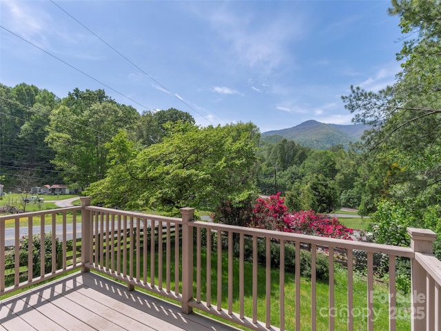 255 Red Bank Rd, Waynesville, NC 28786 - photo 4