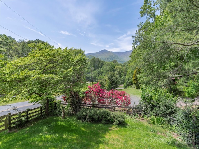 255 Red Bank Rd, Waynesville, NC 28786 - photo 21