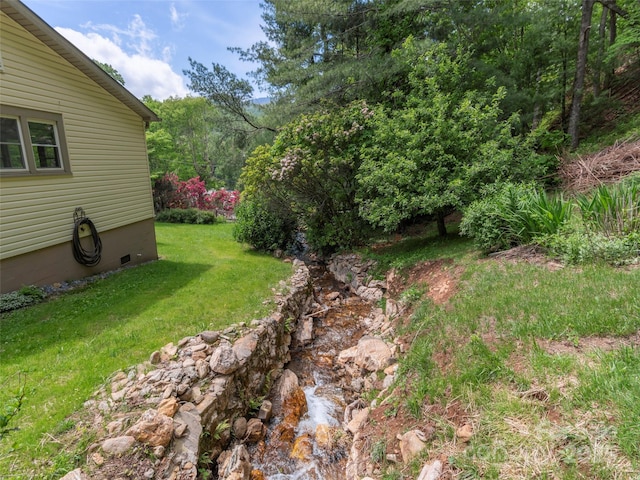255 Red Bank Rd, Waynesville, NC 28786 - photo 23