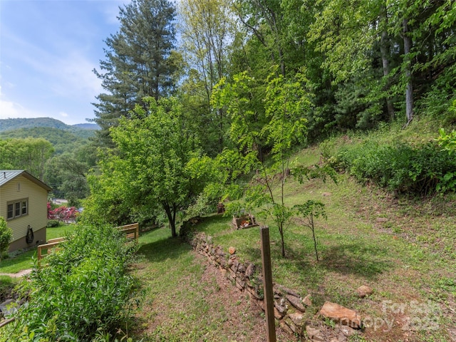 255 Red Bank Rd, Waynesville, NC 28786 - photo 24
