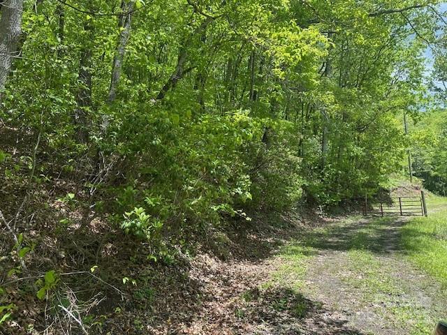 LOT5 Brasstown Rd, Cullowhee, NC 28723