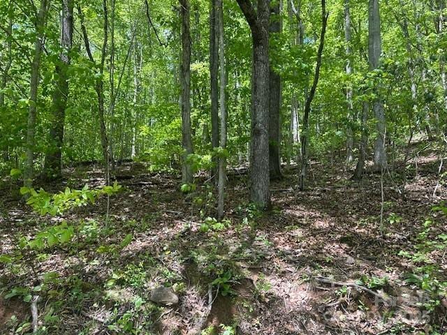LOT5 Brasstown Rd, Cullowhee, NC 28723
