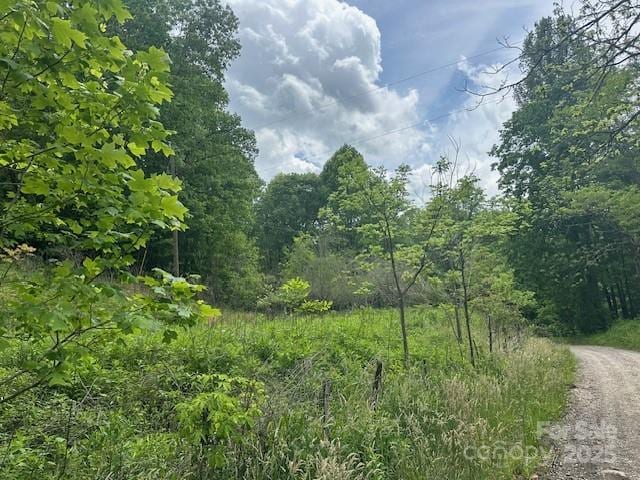 LOT5 Brasstown Rd, Cullowhee, NC 28723