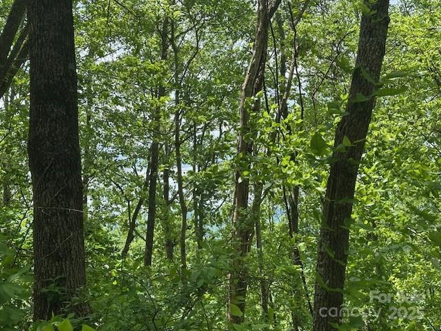 LOT5 Brasstown Rd, Cullowhee, NC 28723