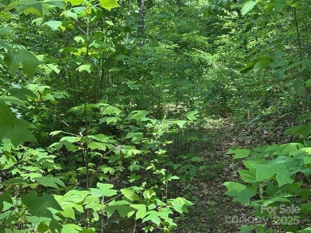 LOT5 Brasstown Rd, Cullowhee, NC 28723