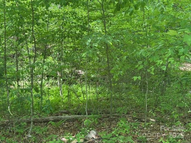 LOT5 Brasstown Rd, Cullowhee, NC 28723