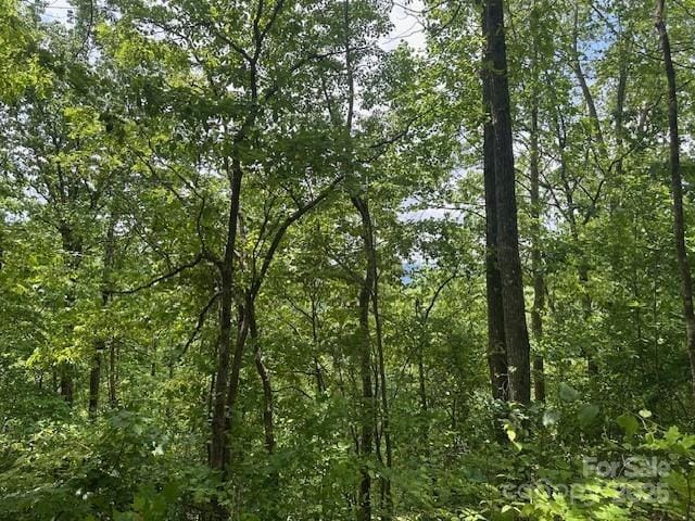 LOT5 Brasstown Rd, Cullowhee, NC 28723
