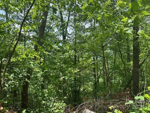 LOT5 Brasstown Rd, Cullowhee, NC 28723