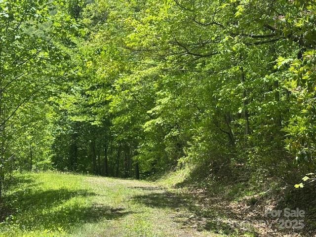 LOT5 Brasstown Rd, Cullowhee, NC 28723