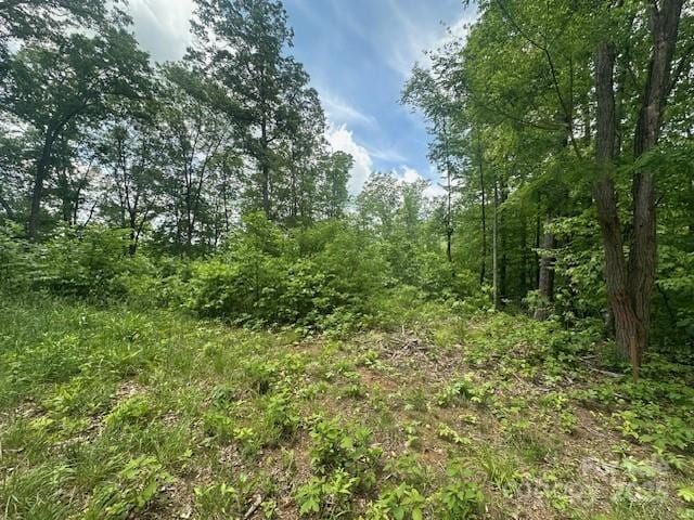 LOT5 Brasstown Rd, Cullowhee, NC 28723
