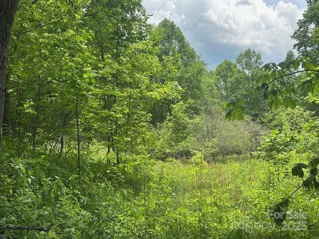 LOT5 Brasstown Rd, Cullowhee, NC 28723