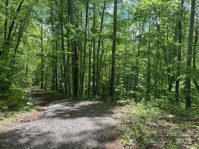 LOT5 Brasstown Rd, Cullowhee, NC 28723