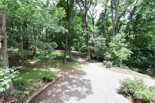 173 Rocky River Rd, Mooresville, NC 28115 - photo 36