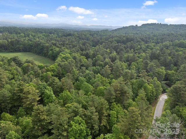 000 Red Fox Ln Unit 17, Flat Rock, NC 28731