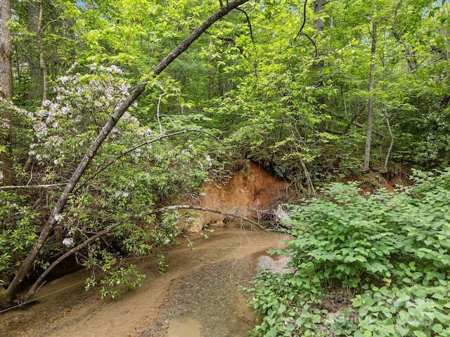 000 Red Fox Ln Unit 17, Flat Rock, NC 28731