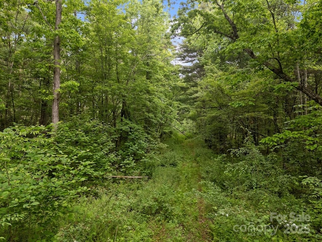 000 Red Fox Ln Unit 17, Flat Rock, NC 28731
