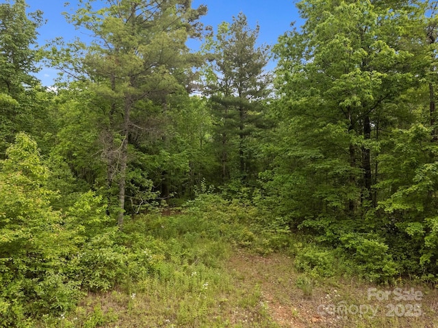 000 Red Fox Ln Unit 17, Flat Rock, NC 28731