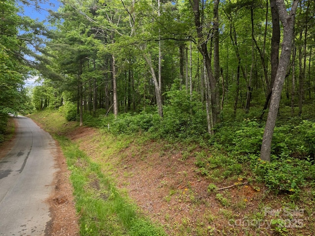 000 Red Fox Ln Unit 17, Flat Rock, NC 28731
