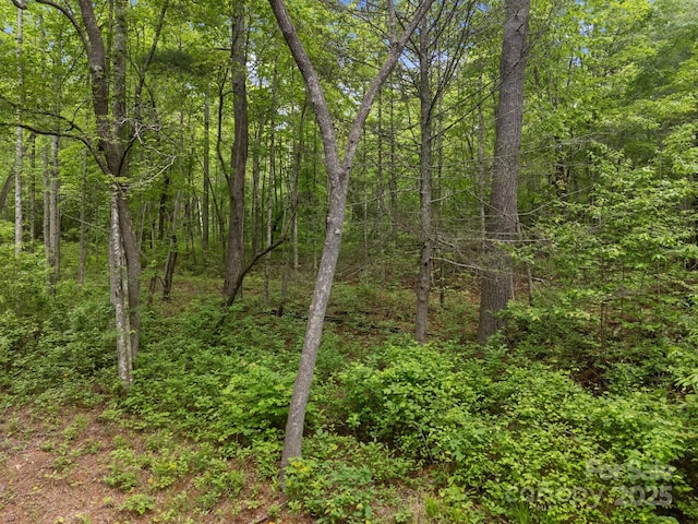 000 Red Fox Ln Unit 17, Flat Rock, NC 28731