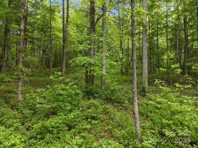 000 Red Fox Ln Unit 17, Flat Rock, NC 28731