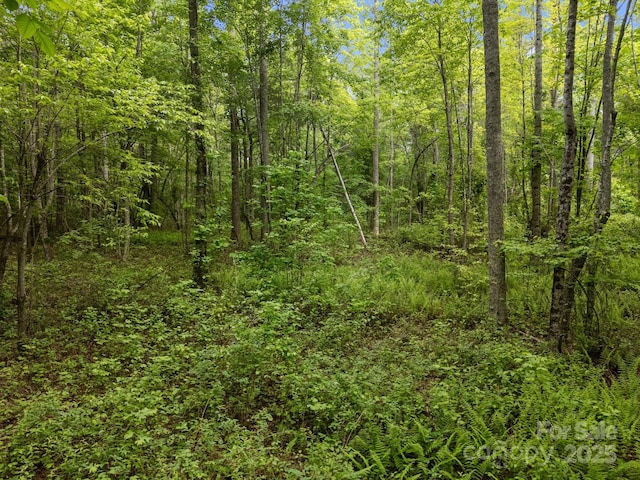 000 Red Fox Ln Unit 17, Flat Rock, NC 28731