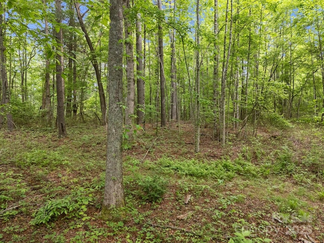 000 Red Fox Ln Unit 17, Flat Rock, NC 28731