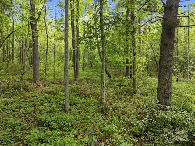 000 Red Fox Ln Unit 17, Flat Rock, NC 28731