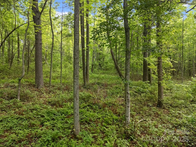 000 Red Fox Ln Unit 17, Flat Rock, NC 28731
