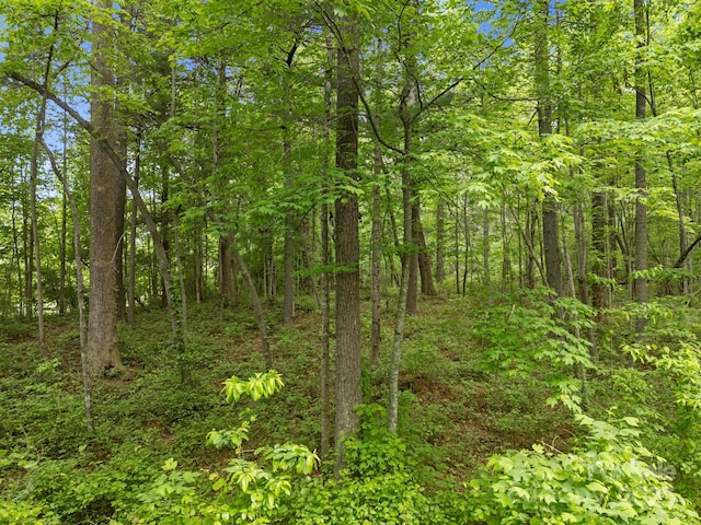 000 Red Fox Ln Unit 17, Flat Rock, NC 28731
