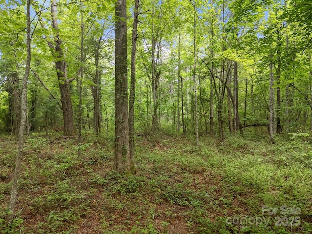 000 Red Fox Ln Unit 17, Flat Rock, NC 28731