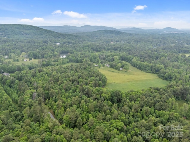 000 Red Fox Ln Unit 20, Flat Rock, NC 28731