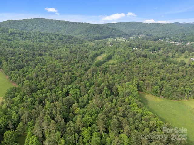 000 Red Fox Ln Unit 20, Flat Rock, NC 28731