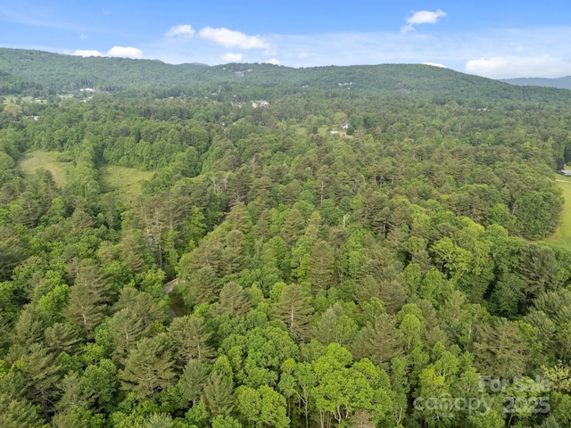 000 Red Fox Ln Unit 20, Flat Rock, NC 28731