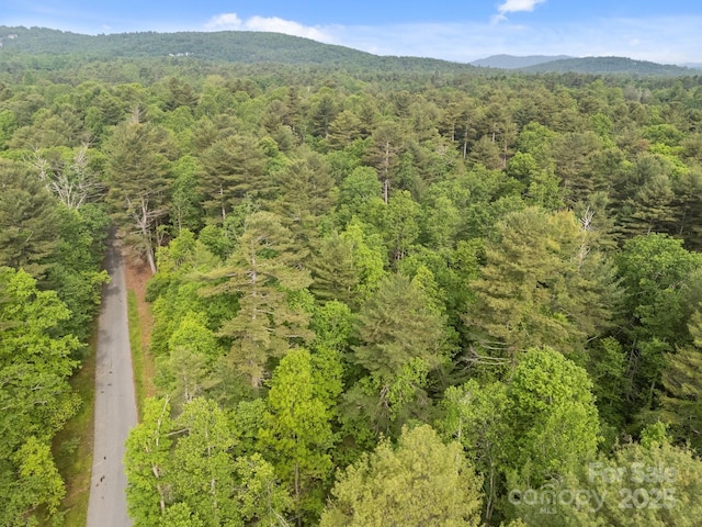 000 Red Fox Ln Unit 20, Flat Rock, NC 28731