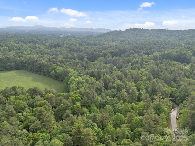 000 Red Fox Ln Unit 20, Flat Rock, NC 28731