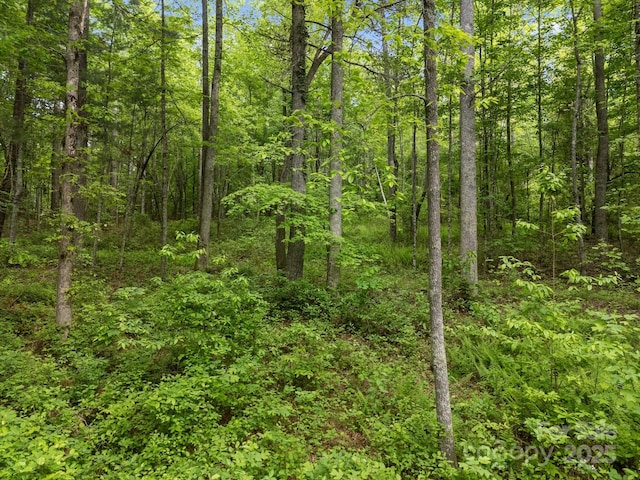 000 Red Fox Ln Unit 20, Flat Rock, NC 28731