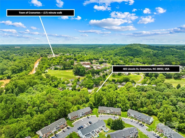 485 Lincoln St, Cramerton, NC 28032 - drone / aerial view of a forest