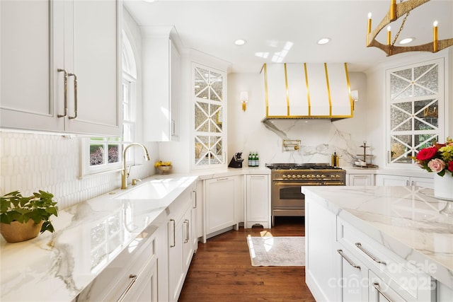 19946 River Falls Dr, Davidson, NC 28036 - kitchen with a sink, high end stainless steel range, extractor fan, white cabinets, and recessed lighting