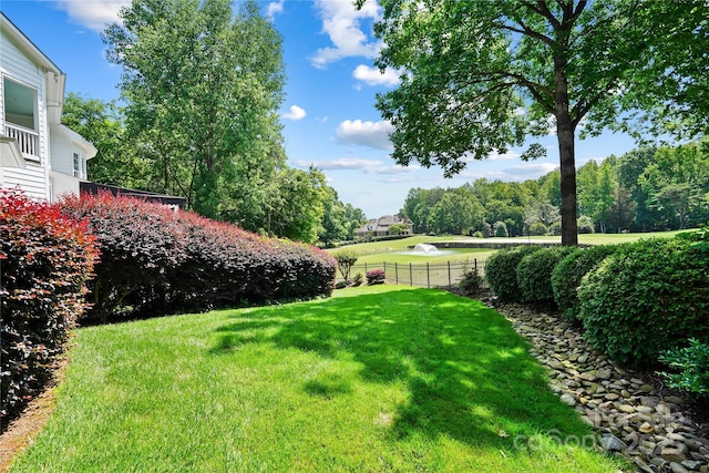 19946 River Falls Dr, Davidson, NC 28036 - view of yard