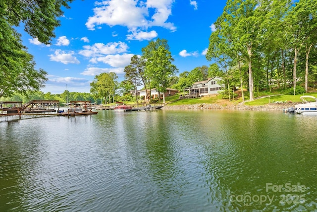 4120 Lake Shore Rd S, Denver, NC 28037 - water view with a boat dock