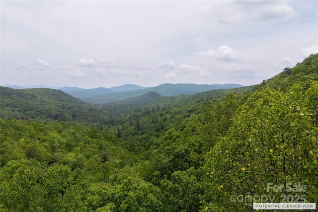 000 Boone Top, Zirconia, NC 28790